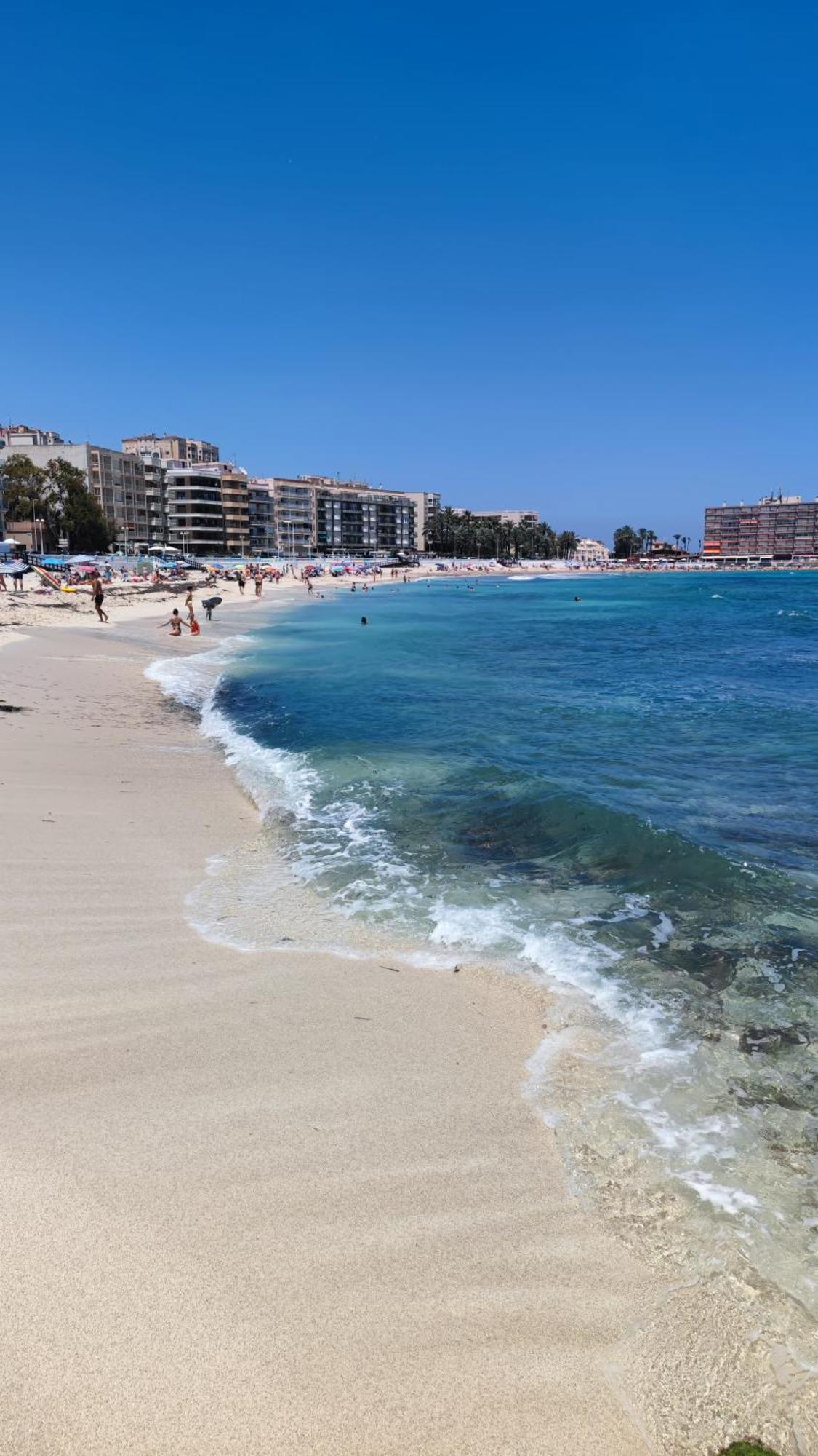 Apartamentos Palangres Torrevieja Extérieur photo
